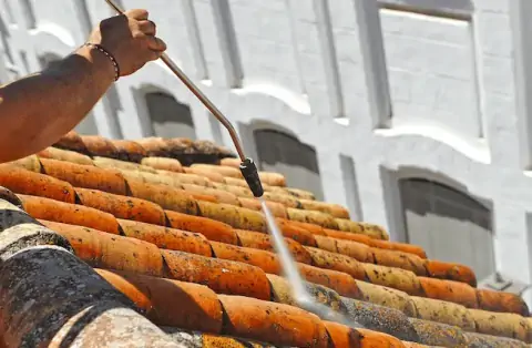 Démoussage de toiture à Seysses